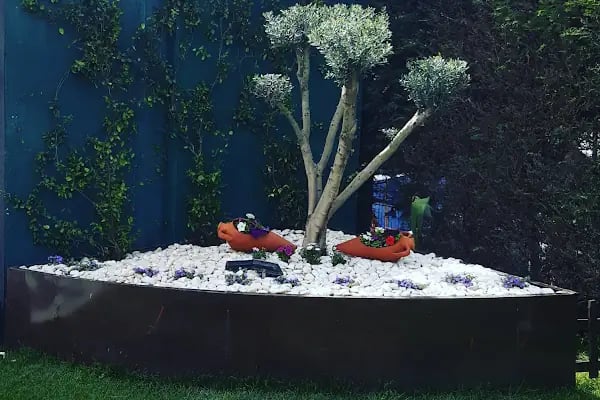 Yalı Fotoğraf & Video - Resim 10