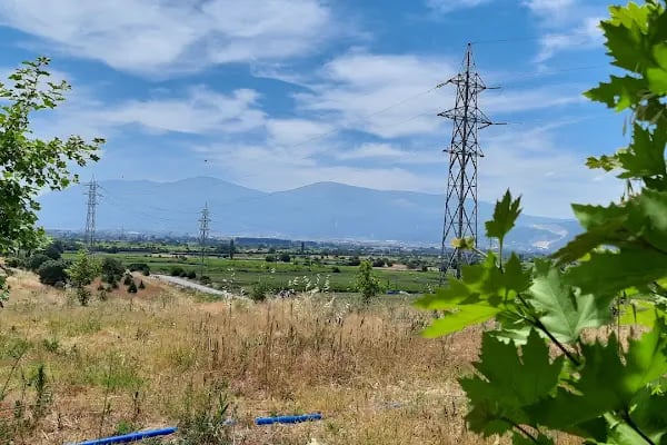 MCBÜ, Uygulamalı Bilimler Fakültesi - Resim 5