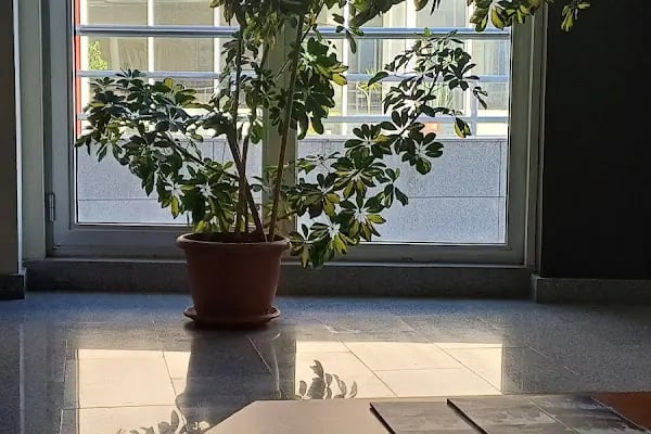 Çankaya Üniversitesi - Resim 19