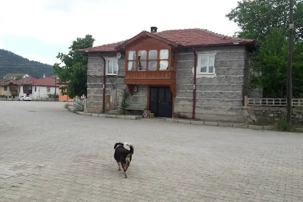 Cevizli Kaya Özen Lisesi - Resim 4