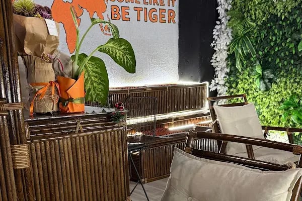 BE TIGER COACHING CLUB - Resim 5