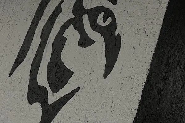 BE TIGER COACHING CLUB - Resim 15