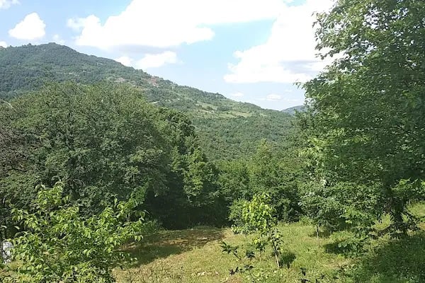 Sarmaşık Piknik Alanı - Resim 14