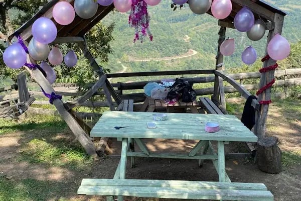 Sarmaşık Piknik Alanı - Resim 18
