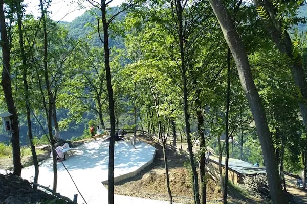 Sarmaşık Piknik Alanı - Resim 1