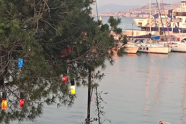 İzmir Marina Ön Büro - Resim 17