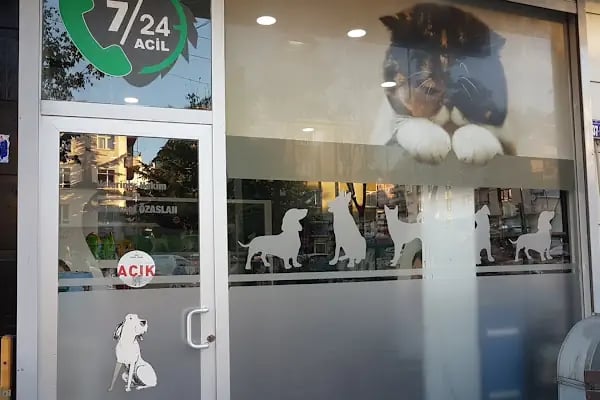 Keçiören Veteriner, Lions Veteriner - Resim 15