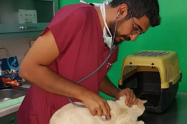 Keçiören Veteriner, Lions Veteriner - Resim 19