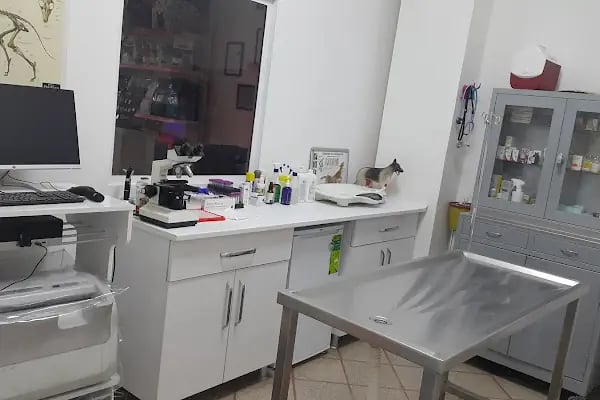 Mamak Veteriner Dünyası Veteriner Kliniği - Resim 6
