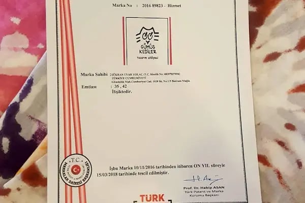 Gümüş Kediler - Resim 11