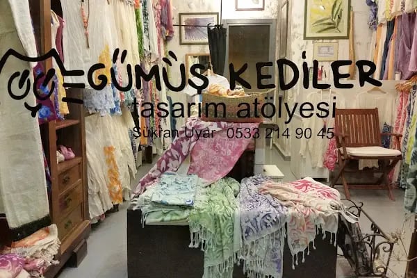 Gümüş Kediler - Resim 2