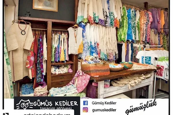 Gümüş Kediler - Resim 15