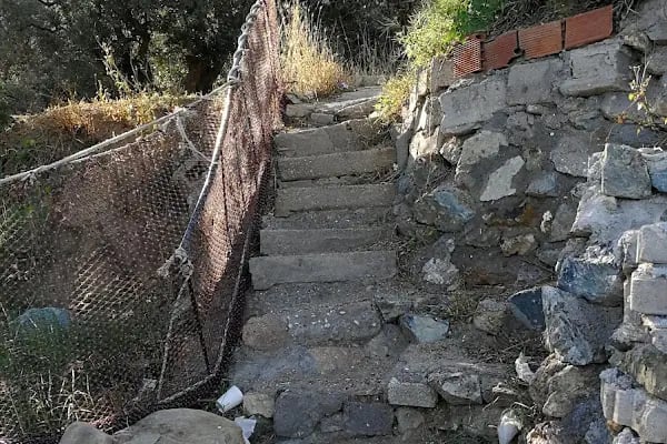 zeytin dalı piknik alanı camping - Resim 17