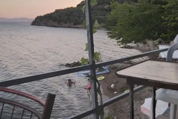 zeytin dalı piknik alanı camping - Resim 4