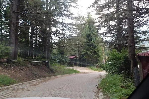 Başkonuş Yaylası - Resim 13