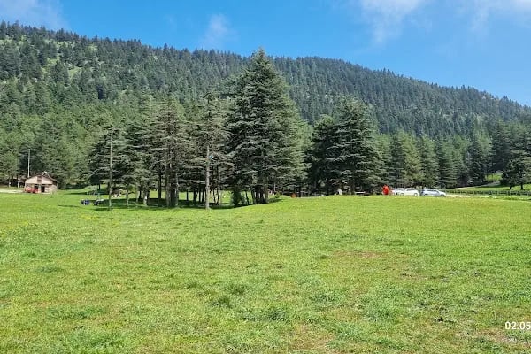 Başkonuş Yaylası - Resim 10