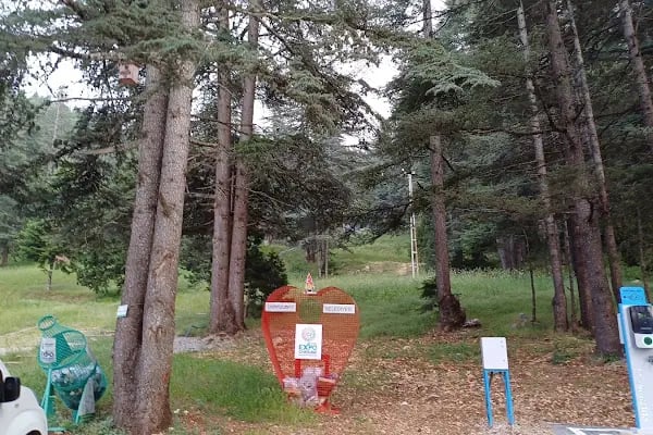 Başkonuş Yaylası - Resim 19
