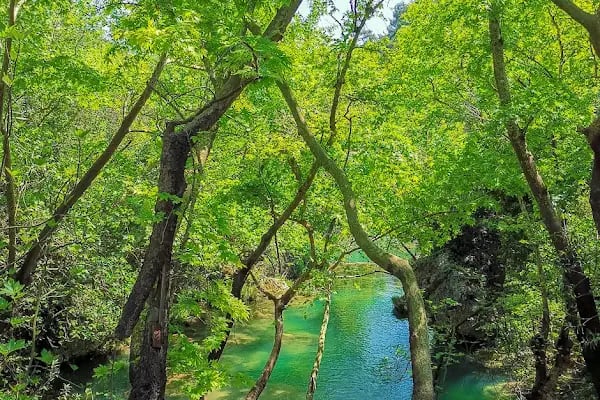 Kurşunlu Şelalesi Tabiat Parkı - Resim 19
