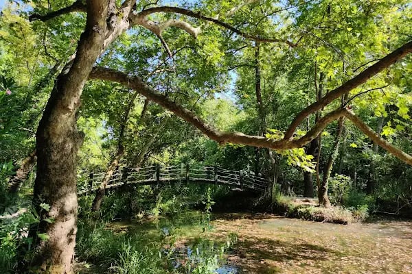 Kurşunlu Şelalesi Tabiat Parkı - Resim 15