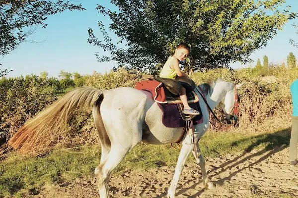 Malatya atlı binicilik - Resim 2