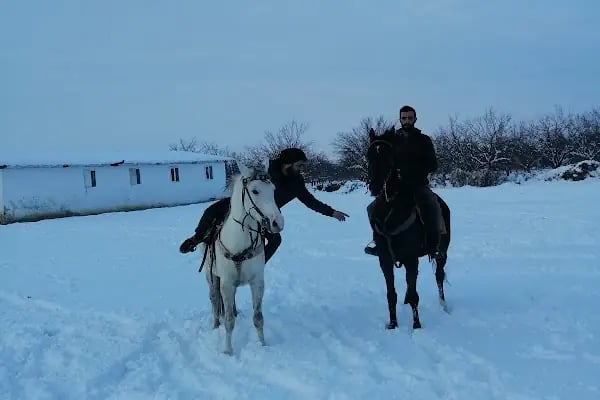 Malatya atlı binicilik - Resim 13