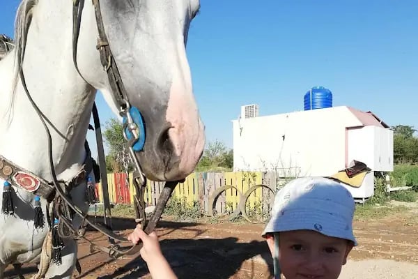 Malatya atlı binicilik - Resim 4