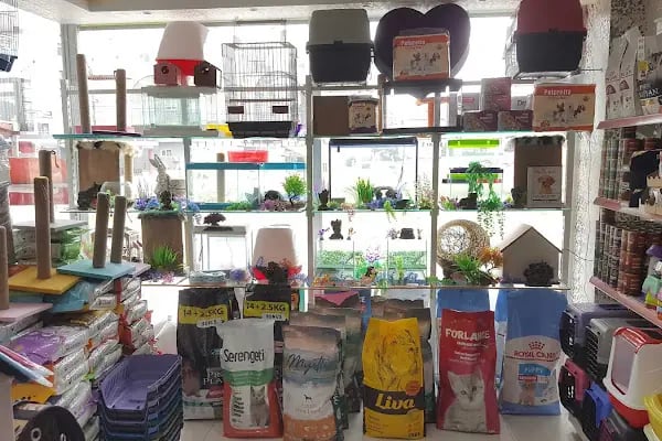 Sönmez Petshop - Resim 5