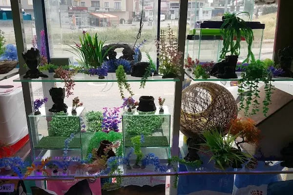 Sönmez Petshop - Resim 17