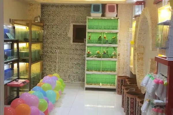 Sönmez Petshop - Resim 4