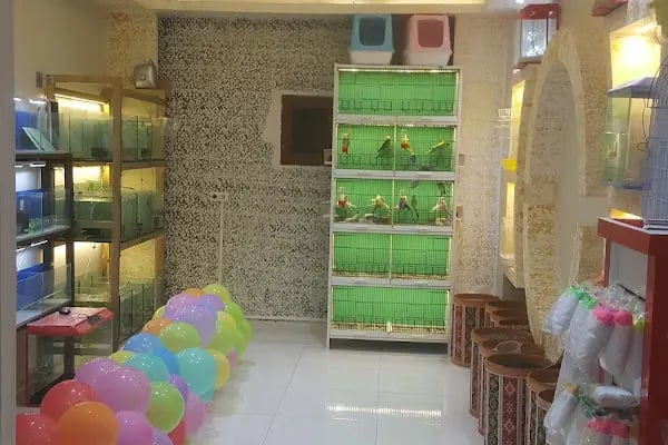 Sönmez Petshop - Resim 10