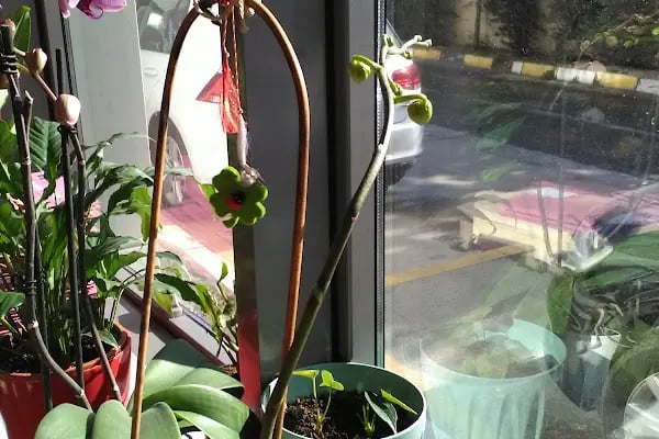 LOTUS Lojistik ve Antrepo • Muratbey Gümrüğüne Bağlı Gümrüklü Genel Antrepo • Serbest Depo • Tehlikeli Madde Deposu - Resim 16