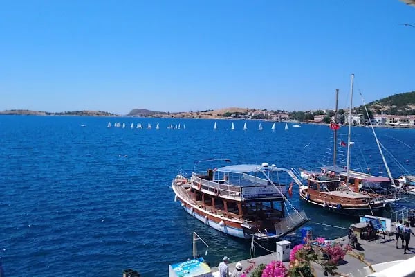 Villa Dedem Hotel - Resim 3