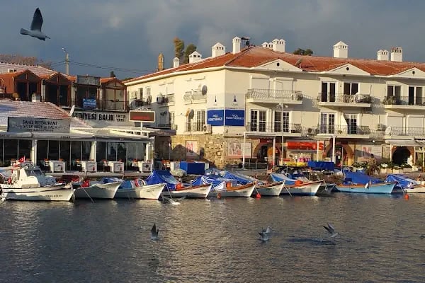 Villa Dedem Hotel - Resim 14
