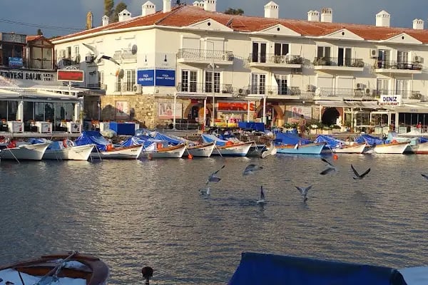 Villa Dedem Hotel - Resim 16