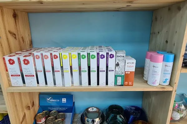 Kuzeykent Veteriner Kliniği - Resim 15