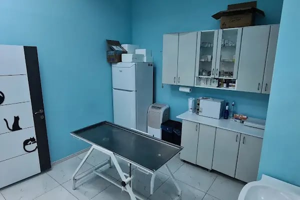 Kuzeykent Veteriner Kliniği - Resim 1