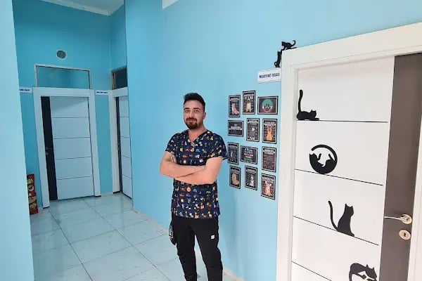 Kuzeykent Veteriner Kliniği - Resim 6