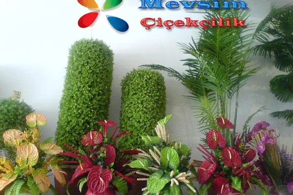 Mevsim Çiçekçilik - Resim 12