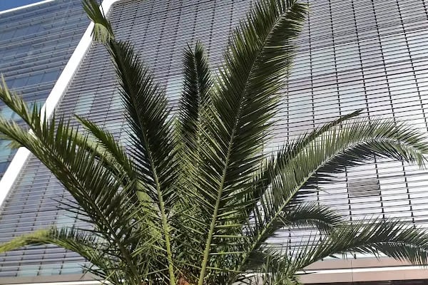 VM Medical Park Mersin Hastanesi - Resim 15