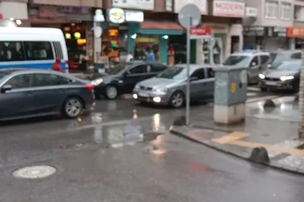 Tropikal Çiçek - Resim 3