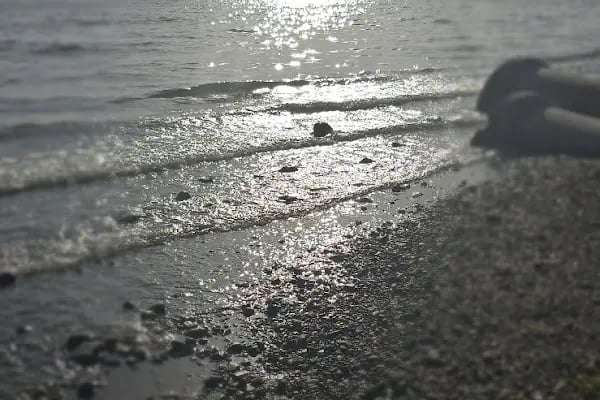İzmit Sahil - Resim 7