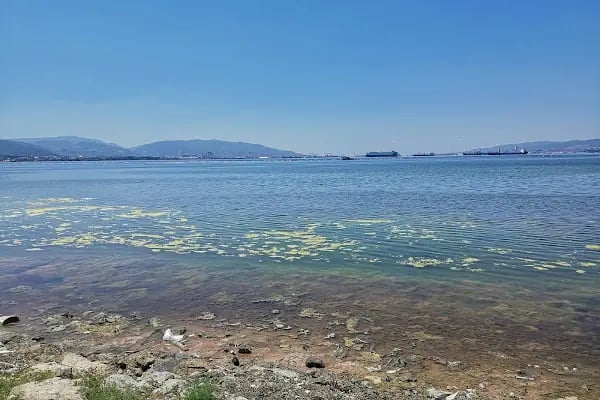 İzmit Sahil - Resim 11