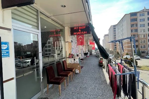 ERYAMAN ROTA PET SHOP ALO MAMA - Resim 1