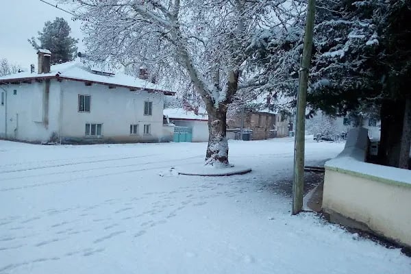 Akşar Köyü Muhtarlığı - Resim 2