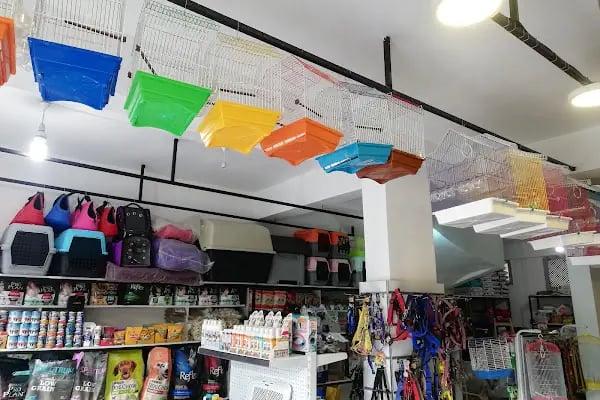 Evcil Pet Shop - Resim 18