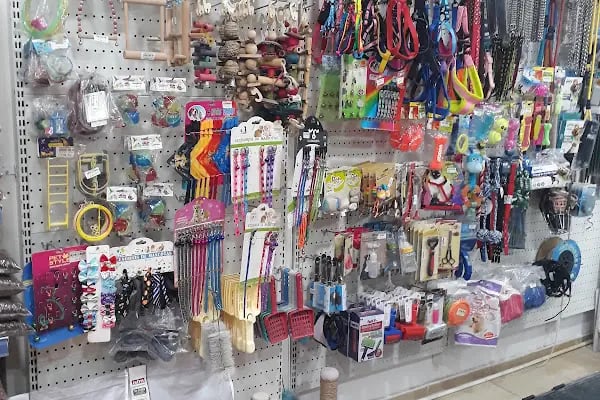 Pet Adana - Resim 3