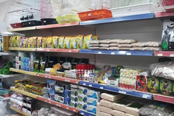 Pet Adana - Resim 10