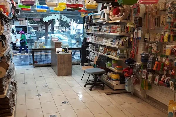 Pet Adana - Resim 4