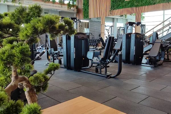 WUW Bodrum Wake Up Wellness - Resim 15
