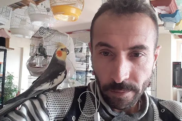 Yağız petshop akvaryum - Resim 16